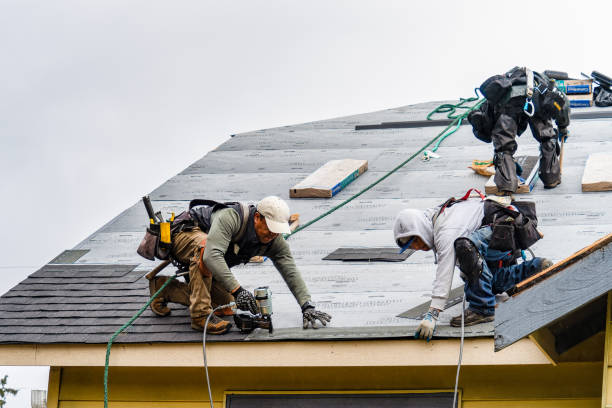 Professional Gutter Installation technician working in Pilot Mound, IA